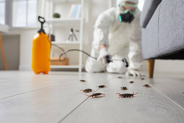 Post-Treatment Bed Bug Interceptor Monitoring in Delmar