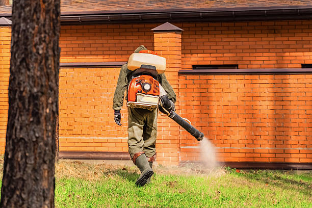 Bed Bug Clearance Verification and Documentation in Delmar